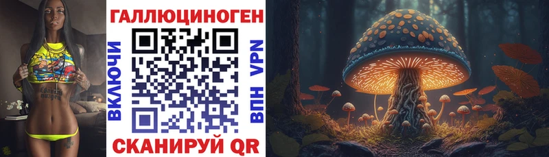 где можно купить   Гуково  Галлюциногенные грибы мухоморы 